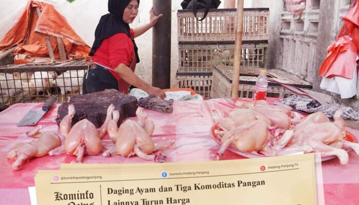 Daging Ayam dan Tiga Komoditas Pangan Lainnya Turun Harga di Padang Panjang