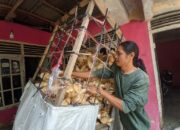 Usaha Kerupuk Tiga Saudara di Muara Labuh, Sudah Turun Temurun