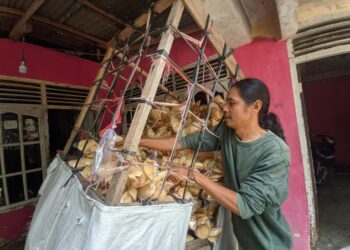 Usaha Kerupuk Tiga Saudara di Muara Labuh, Sudah Turun Temurun