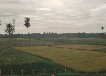 Padang Pariaman Bangun 16,247 Km Saluran Irigasi Tersier dalam Rentang Waktu 2021-2023