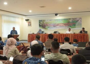 Pemkab Solsel Matangkan RAD Kelapa Sawit Berkelanjutan