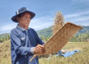 Pokok Murah Hasil Melimpah, Petani Nikmati Keuntungan 35 Persen Tanam Metode MTOT