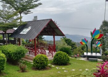 Agrowisata Batu Patah Payo, Destinasi yang Memanjakan Mata