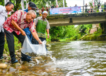 PT Semen Padang meluncurkan program revitalisasi Ikan Gariang dengan melepas 2.500 ekor ikan Gariang langka (Tor douronensis) di Lubuk Larangan