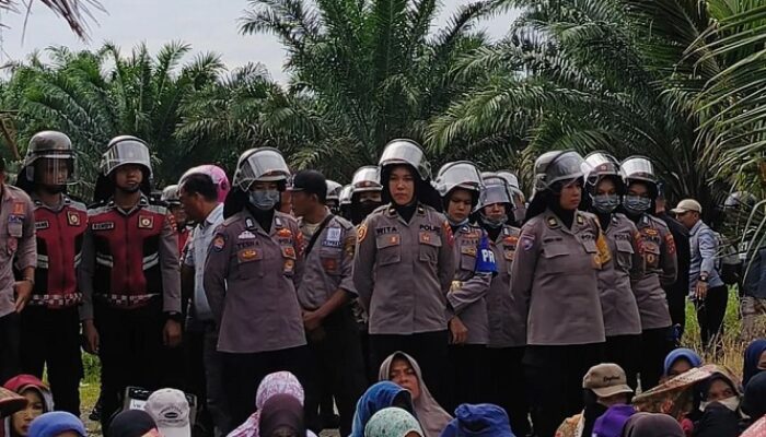 Konflik Agraria,  Sembilan Petani Nagari Kapa Ditangkap 