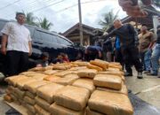 Selamatkan 312.253 Anak Bangsa, 624 Kg Ganja dari Aceh Digagalkan BNNP Sumbar