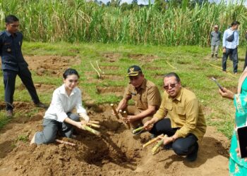 Fakultas Pertanian UGM Edukasi Petani Tebu di Lawang