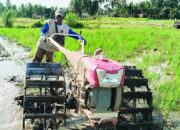Sumbar Siapkan 2 Ribu Hektare Lahan untuk Cetak Sawah Baru