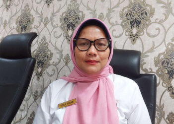 Musim Panas Belum Berdampak ke Pertanian di Kota Padang