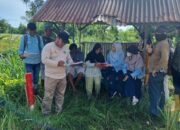 Satgas B Pengadaan Tanah Akses Tol Lakukan Identifikasi dan Inventarisasi