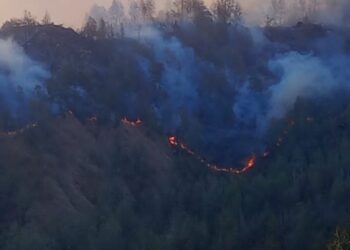 95 Persen Karhutla Kawasan Hutan BTNG Rinjani Berhasil Dipadamkan