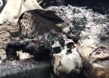 Kebakaran Tewaskan Satu Warga Kuranji Hilir Sungai Limau