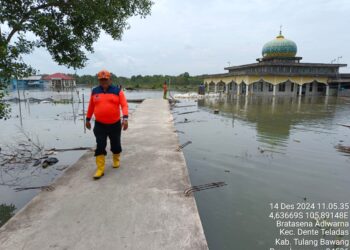 Banjir Rob di Kabupaten Tulang Bawang, Berangsur Surut