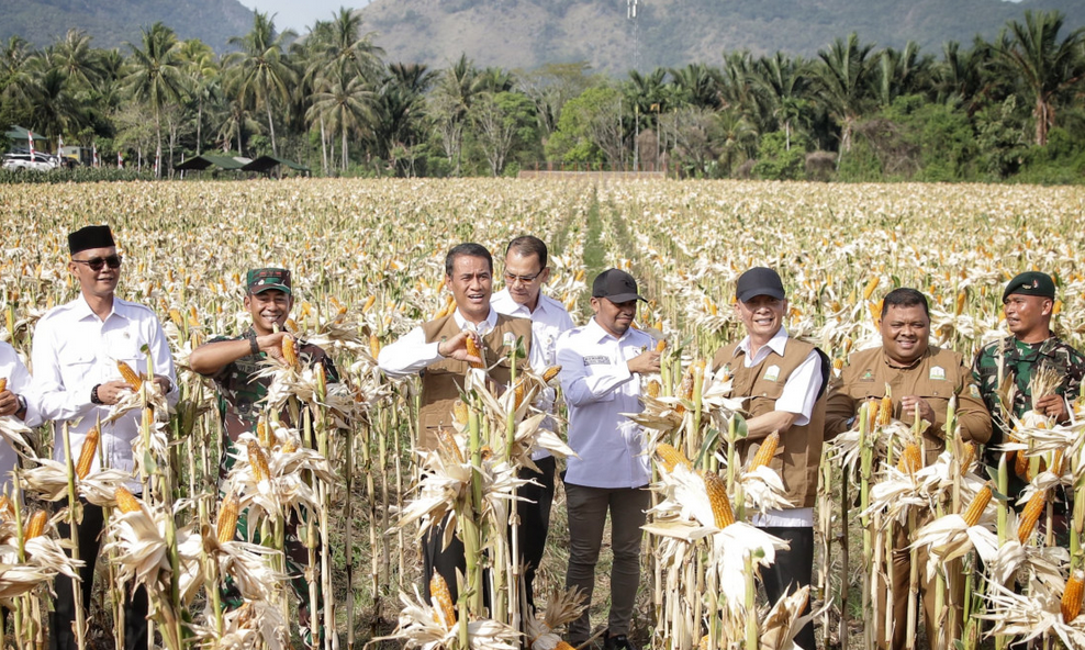 Kementerian Pertanian atau Kementan menargetkan untuk membuka 1 juta hektare lahan baru guna meningkatkan produksi jagung di Indonesia.