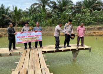 Dukung Ketahanan Pangan Nasional, Polsek Lembah Melintang Budidaya Ikan Air Tawar