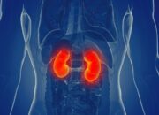 Waspadai Beberapa Gejala Awal Gagal Ginjal