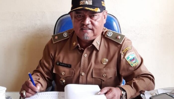 Desrizal Chandra Bahar, Berangkat dari Kerja Keras hingga Jadi Wali Nagari Berkelas