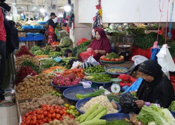 Enam Komoditas Pangan di Padang Panjang Turun Harga