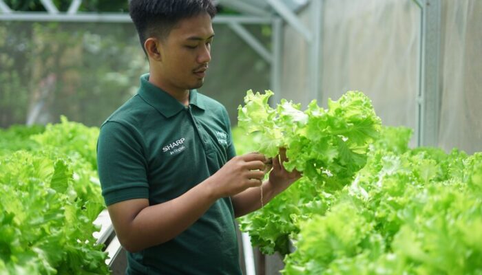 Sharp Hydro Heroes Sukses Ciptakan Petani Muda Berkelanjutan