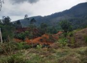 Konflik Lahan di Nagari Harau: Dugaan Permainan Mafia Tanah Meningkatkan Ketegangan