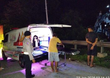 Mobil Shopee Box Rebah Kuda di Sitinjaulauik, Sopir Luka-Luka