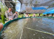 Polsek Lembah Melintang Pasbar Jalin Komunikasi dan Bimbingan pada Kelompok Peternak Ikan Air Tawar