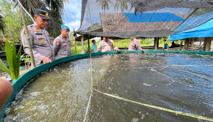 Polsek Lembah Melintang Pasbar Jalin Komunikasi dan Bimbingan pada Kelompok Peternak Ikan Air Tawar