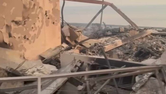 Selain Paris Hilton, Ini Deretan Artis yang Rumahnya Terbakar di Los Angeles