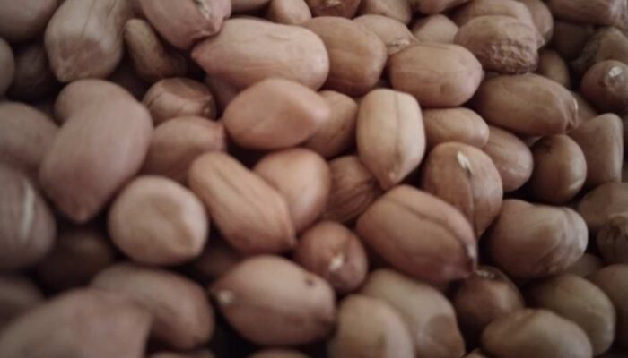 Mitos atau Fakta, Kacang Bisa Menyebabkan Jerawat?