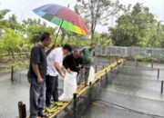 Anggota DPD RI Muslim M Yatim Tebar 10 Ribu Bibit Ikan Lele di Kolam Kolaborasi Kampung Golai Jati