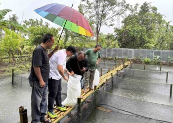 Anggota DPD RI Muslim M Yatim Tebar 10 Ribu Bibit Ikan Lele di Kolam Kolaborasi Kampung Golai Jati