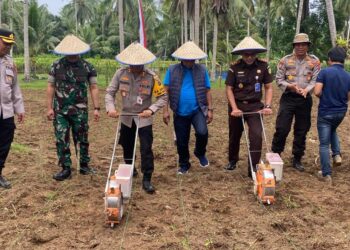 Penanaman Jagung Satu Juta Hektare, Bentuk Nyata Sinergi Pemda, Polri dan TNI