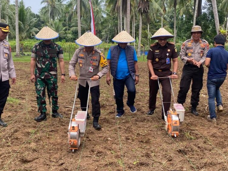 Penanaman jagung serentak satu juta hektare yang dilaksanakan di Korong Kampung Tangah, Nagari Parik Malintang, Kecamatan Enam Lingkung, Selasa (21/1). IST