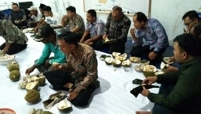 Berburu “Musang King” dalam Festival Makan Durian Nagari Gunung Padang Alai