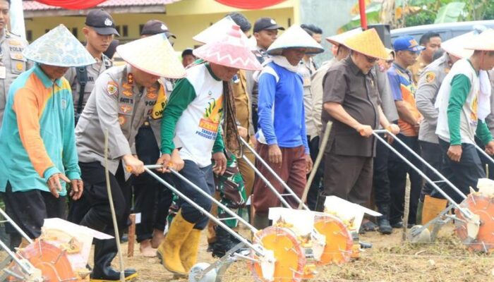 Dukung Swasembada Pangan Nasional, Polda Sumbar Laksanakan Penanaman Jagung Serentak Satu Juta Hektar