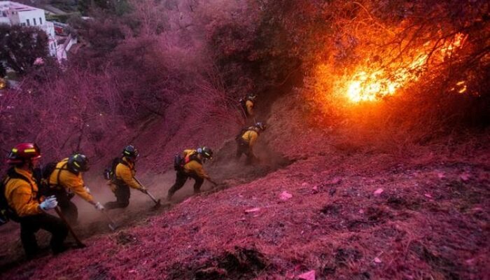 Mengenal Angin Santa Ana, Biang Kerok Kebakaran Hutan di California Selatan