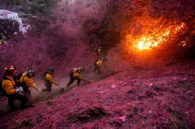 Damkar berjuang padamkan kebakaran yang meluas di Los Angeles, California, AS. Foto: REUTERS/Ringo Chiu