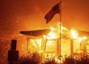 Bantuan Internasional Berdatangan Tangani Kebakaran Los Angeles