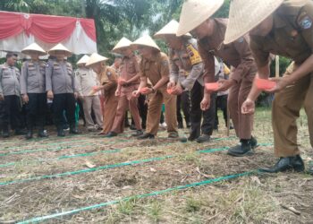 Pasbar Siapkan 35 Ribu Hektare Lahan untuk Tanam Jagung