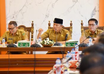 Roberia Sebut Kota Pariaman Terima DAU Rp27,7 Miliar untuk PPPK Baru