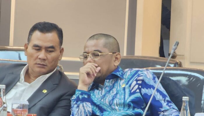 Anggota Komisi XIII DPR RI Arizal Azis Usulkan Program Naturalisasi Dibatasi