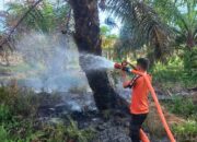 Perkembangan Situasi dan Penanganan Bencana Tanggal 7 Februari