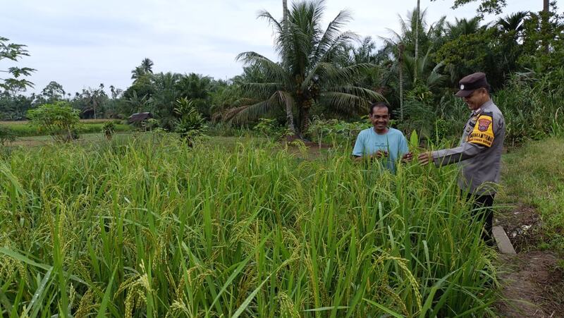 Nagari Desa Baru