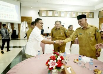 Bupati Solok Selatan Ikuti Entry Meeting Evaluasi Perencanaan dan Penganggaran 2025 dengan BPKP