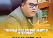 Rico Alviano: BPH MIGAS Harus Siapkan Pengawas di Setiap Daerah