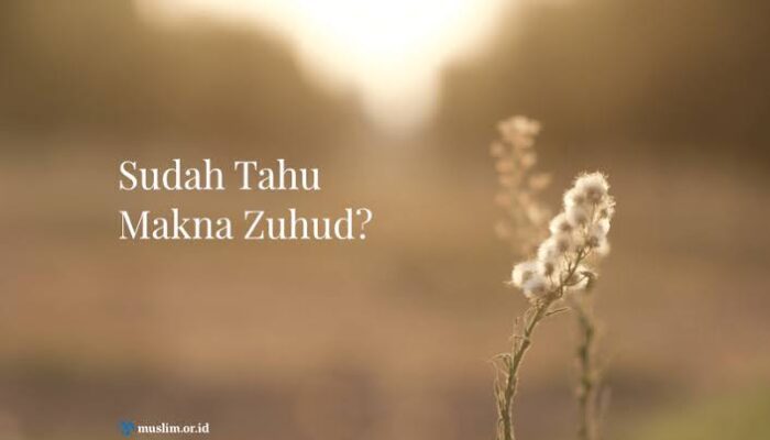 Zuhud Adalah Perkara yang Menghidupkan Hati