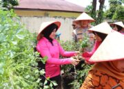 Polres Pasbar Manfaatkan Lahan Produktif Guna Percepatan Swasembada Pangan dan Program Makan Bergizi Gratis