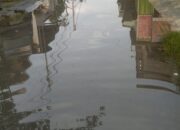 Banjir di Pasuruan, 16 Desa di 6 Kecamatan Terdampak