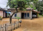 Perkembangan Situasi dan Penanganan Bencana Tanggal 28 Februari 2025