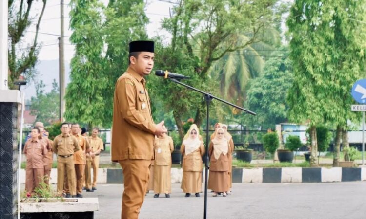 Pemko Solok